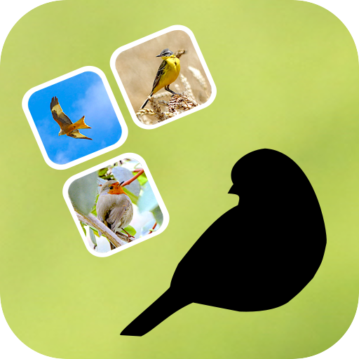 Bird Pairs icon